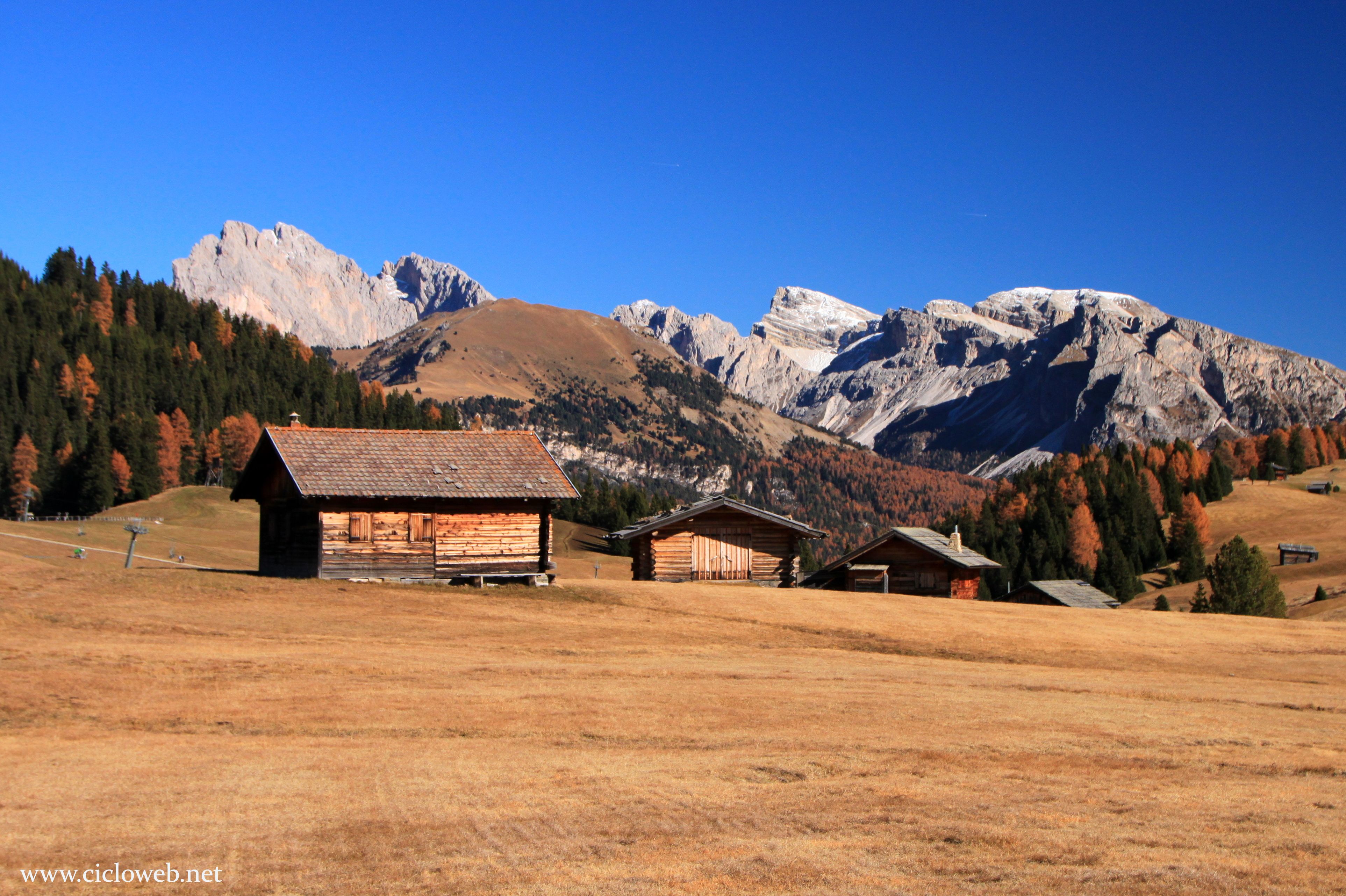 28b - Alpe di Siusi, Odle dai pressi della baita Sanon.jpg